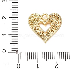 Legierungsanhänger zum Valentinstag&nbsp;FIND-I367-05G