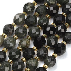 Perles de dentelle en bois vert naturel/jaspe boisé&nbsp;GG-CBA4A3B-A03