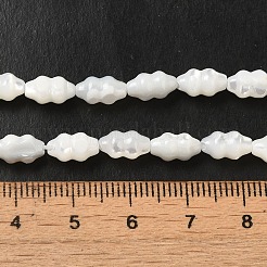 Natürliche Trochusmuschelperlenstränge&nbsp;SHEL-M021-01
