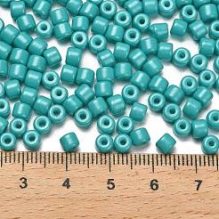 Perles de verre nacrées avec peinture à cuisson&nbsp;SEED-C001-04A-06