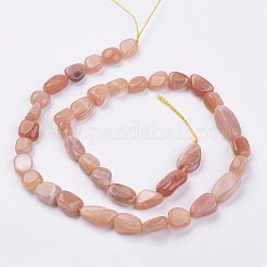 Natürliche sunstone Perlen Stränge&nbsp;G-F439-04