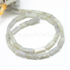 Labradorite naturale fili di perline&nbsp;G-R299-19