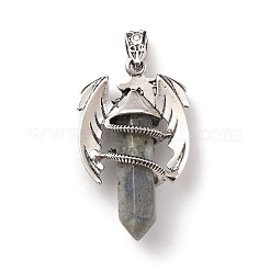 Natürliche Labradorit spitze Anhänger&nbsp;G-B042-04P-58