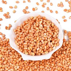 Picasso-Glasperlen&nbsp;SEED-N012-10B