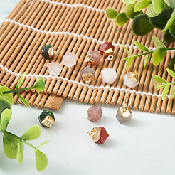 12pcs 6 natürliche Edelsteinanhänger im Stil&nbsp;G-FW0001-24
