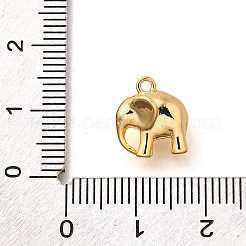 Messing Anhänger & Charms&nbsp;KK-K294-37G