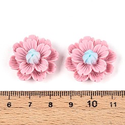 Cabochon decodificati in resina&nbsp;CRES-T025-04E