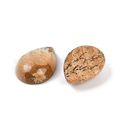 Natur Bildjaspisses cabochons&nbsp;G-H094-01A-12
