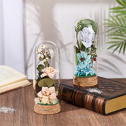 Couvercle de dôme en verre&nbsp;CON-WH0110-320A