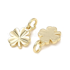 Charms in ottone&nbsp;KK-CBA9234-03G