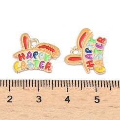 Pendentifs en alliage d'émail de pâques&nbsp;LS-ENAM-I055-01KCG-05