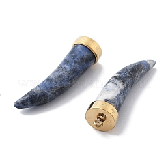 Natürliche Sodalith-Horn-Anhänger&nbsp;STAS-R130-03G-01