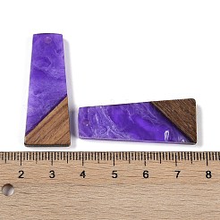 Pendentifs en résine & en bois&nbsp;WOOD-F015-04A