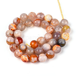 Brins de perles d'agate craquelées au feu naturel teintées et chauffées&nbsp;G-N359-01B-10