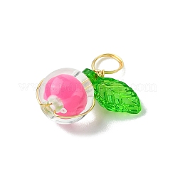 Pendenti di perline acriliche trasparenti&nbsp;PALLOY-JF03386-02