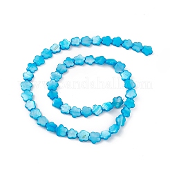Fili di perline tinti in conchiglia naturale d'acqua dolce&nbsp;SHEL-K001-001F