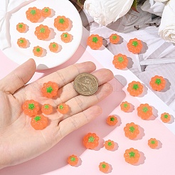 15 Stück Harz Cabochons&nbsp;RESI-YW0005-55