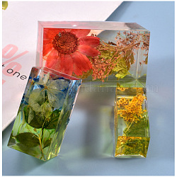 Moules en silicone remplis cuboïdes, pour époxy chargé, diorama, fleur séchée, artisanat de décoration de spécimen d'insecte, blanc, 20x39.5x18mm