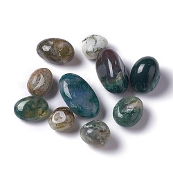 Mousse naturelle perles en agate, pierre roulée, gemmes de remplissage de vase, pas de trous / non percés, pépites, 15.5~32.5x14~18x9~16.5mm, environ148 pcs / 1000 g.