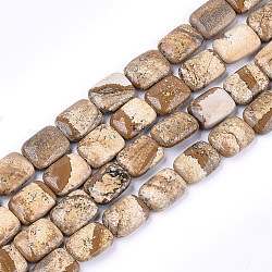 Natural Picture Jasper Beads Strands, Rectangle, 17.5~18.5x13~13.5x6~7mm, Hole: 1mm, about 22pcs/strand, 15.5 inch
