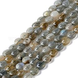 Chapelets de perles en labradorite naturelle , facette, plat rond, 5.5~6x3.5mm, Trou: 1mm, Environ 70 pcs/chapelet, 14.88'' (37.8 cm)