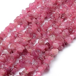 Natürlichen Turmalin Perlen Stränge, Chip, 3~5 mm, Bohrung: 0.6 mm, ungefähr 15.5~16 Zoll (39~40 cm)