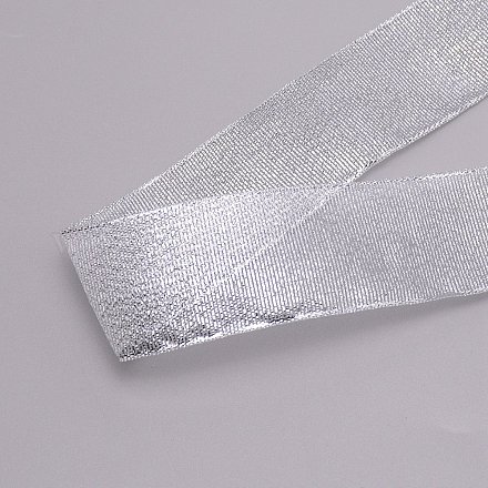 Polyester Ribbon SRIB-WH0020-01J-1
