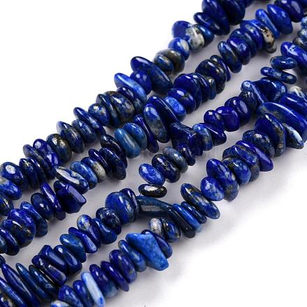 Chapelets de perles en lapis-lazuli naturel G-F328-15-A-1