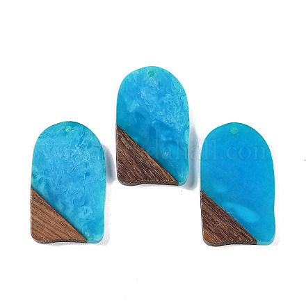 Подвески из смолы и дерева WOOD-F015-13F-1