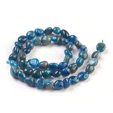 Natural Apatite Beads Strands G-F575-07-1