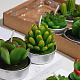 Kaktus Paraffin rauchfreie Kerzen DIY-G024-F-5