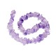 Natural Amethyst Beads Strands G-O173-010B-2