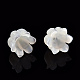 Bouchons de perles de coquillage blanc naturel SSHEL-N032-58B-4