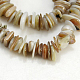 Chapelets de perles de coquillage naturel BSHE-D003-3-1