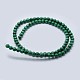 Chapelets de perles en malachite naturelle G-F571-27AB1-12mm-3