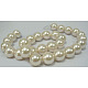 Shell Pearl Beads Strands SP10MM205-1
