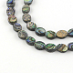 Brins de perles ovales en coquillage de paua naturel SSHEL-F290-40A-1