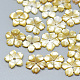 Perles de coquillage jaune SSHEL-S260-073-1