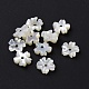 Natural White Shell Beads SHEL-F002-04-4