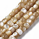 Chapelets de perles de coquille de trochid / trochus coquille SSHEL-S266-018B-02-1