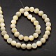 Natural Mother of Pearl Shell Round Bead Strands BSHE-M022-28A-2