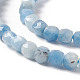 Natürliche teufelsblaue Aquamarin-Perlenstränge G-F717-16B-4