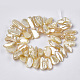 Electroplate Shell Pearl Beads Strands SSHEL-S261-01C-2