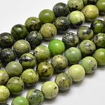 Brins de perles rondes en serpentine naturelle, 10mm, Trou: 1mm, Environ 37 pcs/chapelet, 15 pouce