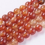 Chapelets de perles en agate à rayures naturelles/agates à bandes, teinte, ronde, firebrick, 8mm, Trou: 1mm