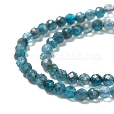 Natural Apatite Beads Strands G-K185-02