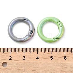 Federring aus spritzlackierter Legierung&nbsp;PALLOY-H131-10