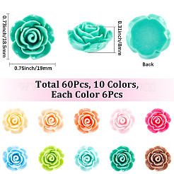 60 Stück 10 Farben undurchsichtige Harz-Cabochons&nbsp;CRES-CP0001-06