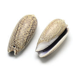 Pendentifs en coquille spirale&nbsp;LS-SSHEL-Q299-013