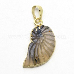 Natürliche Achat Kristall galvanisieren Muschel Anhänger&nbsp;G-F168-14